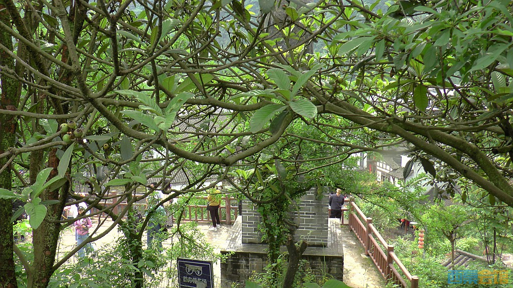 conew_s1610073.jpg