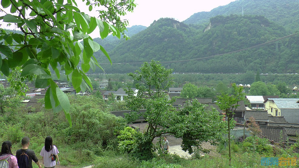 conew_s1610075.jpg