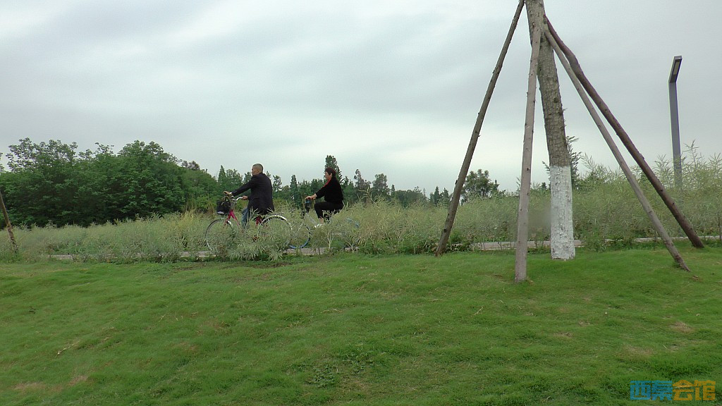 conew_s1620034.jpg