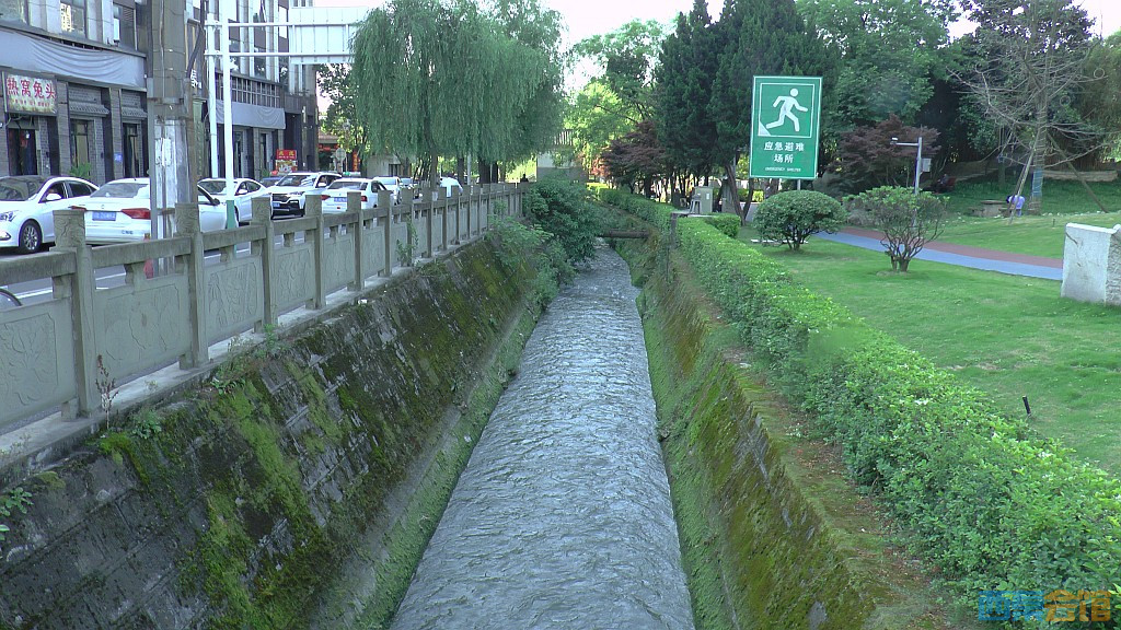conew_s1620063.jpg