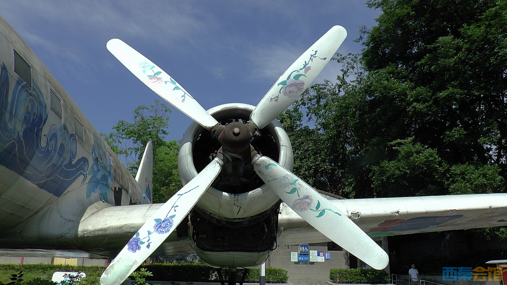 conew_s1620067.jpg