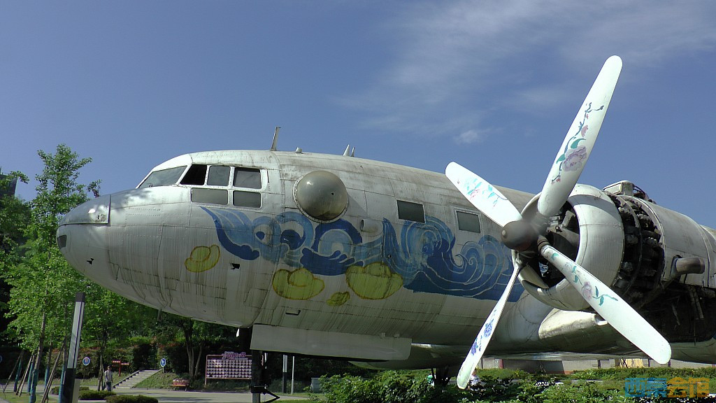 conew_s1620066.jpg