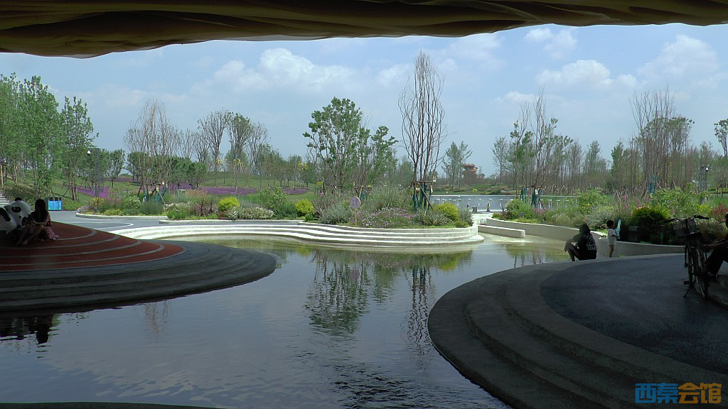 conew_s1620088.jpg