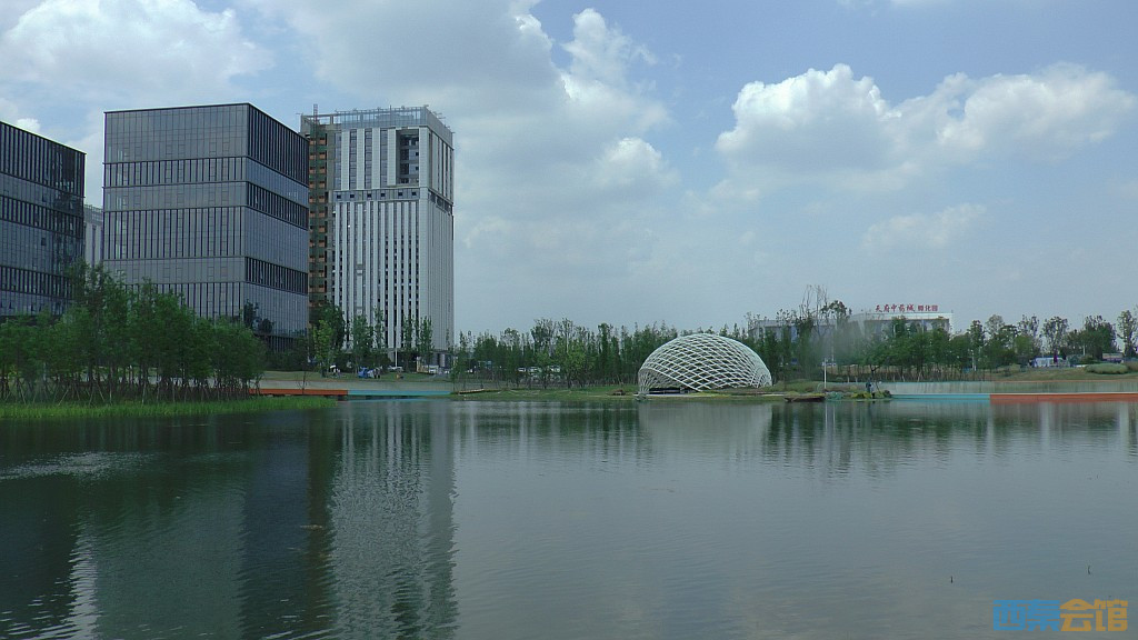 conew_s1620080.jpg