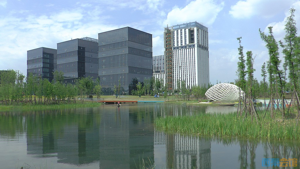 conew_s1620075.jpg