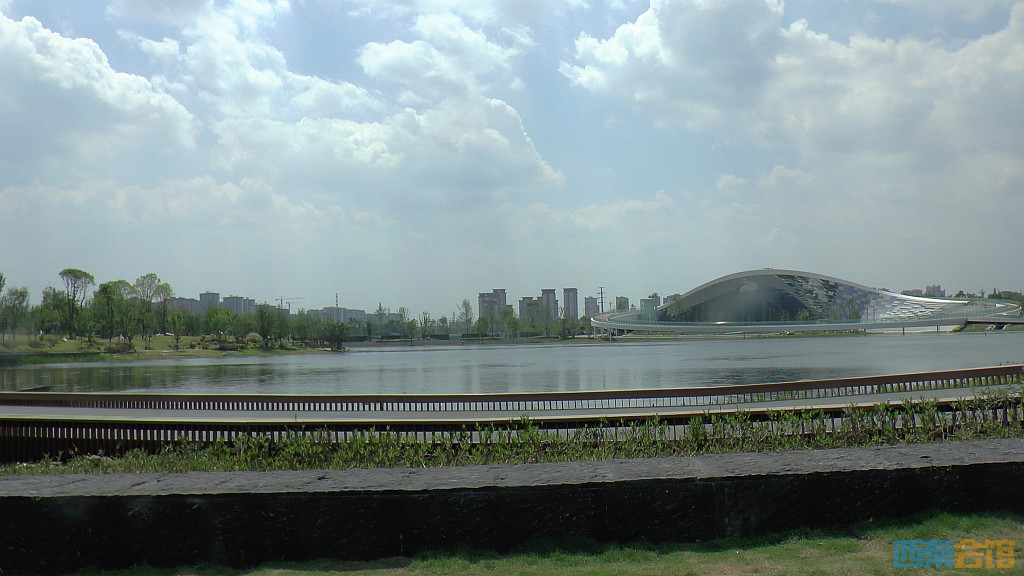 conew_s1620085.jpg