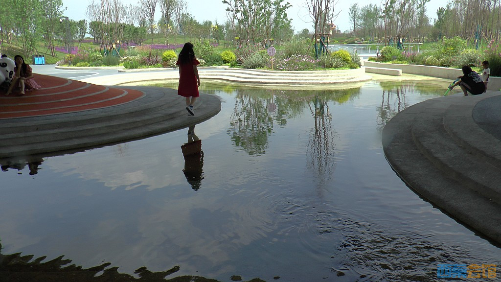 conew_s1620089.jpg
