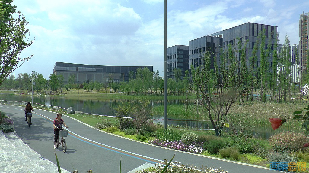conew_s1620072.jpg