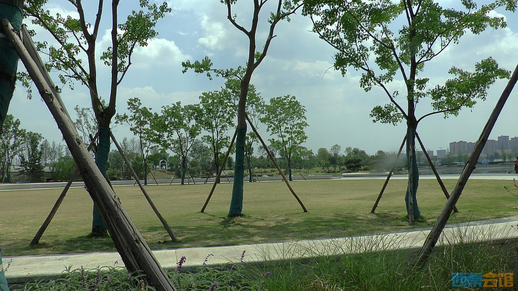 conew_s1620074.jpg