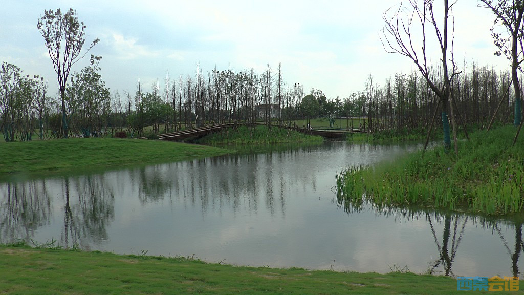 conew_s1620118.jpg