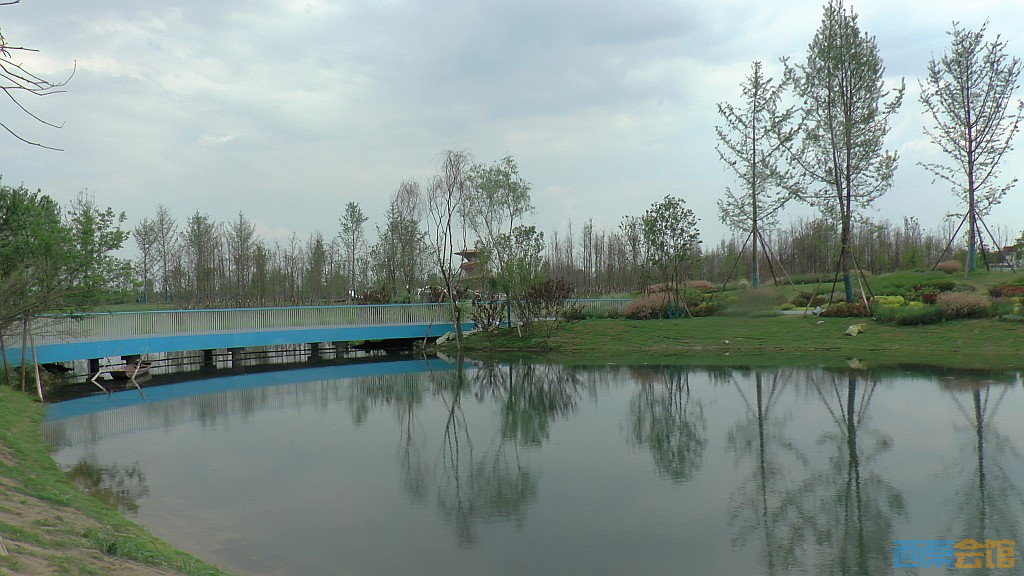 conew_s1620102.jpg