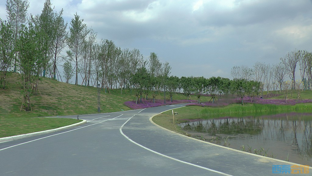 conew_s1620096.jpg