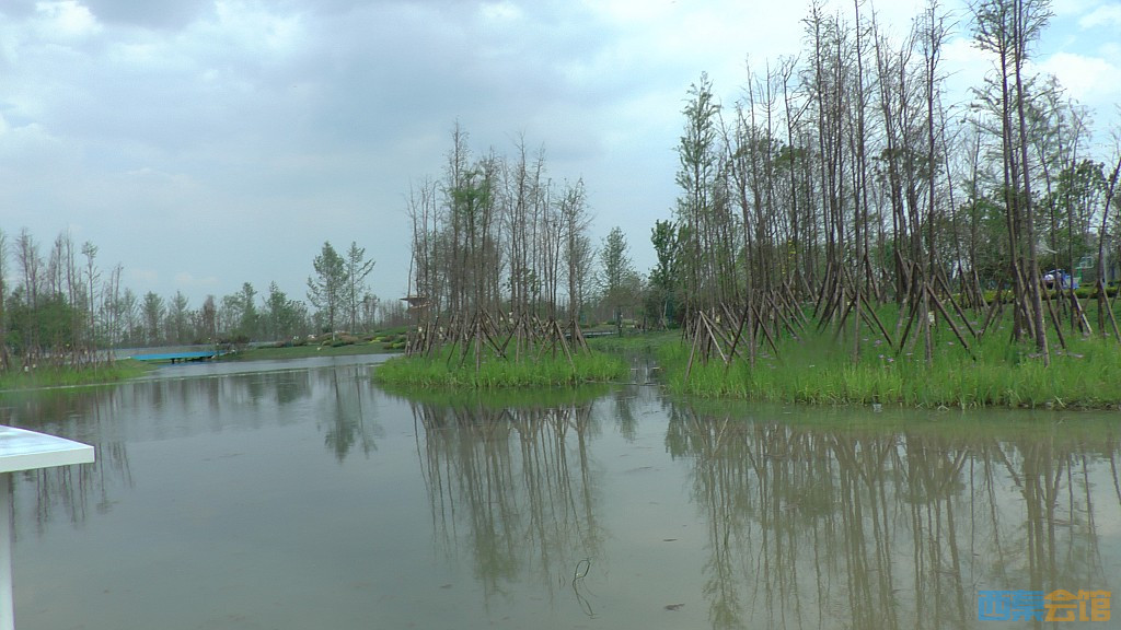 conew_s1620093.jpg