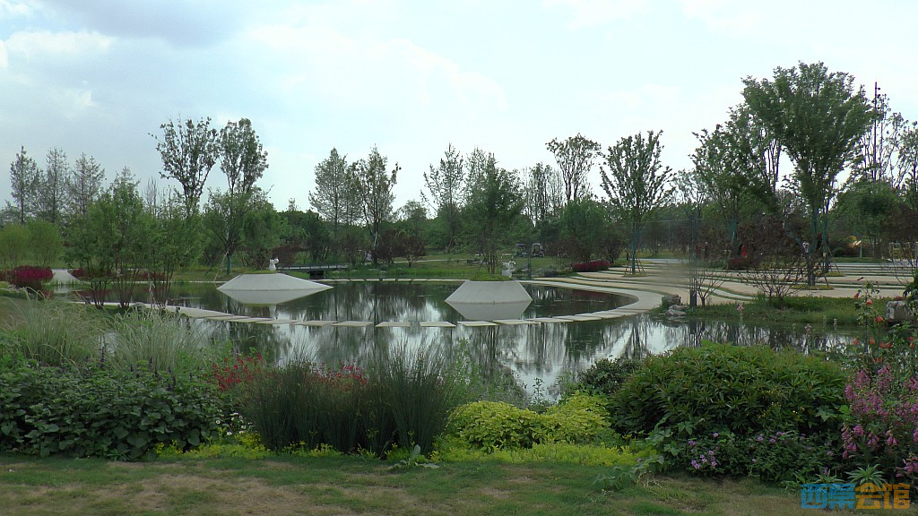 conew_s1620109.jpg