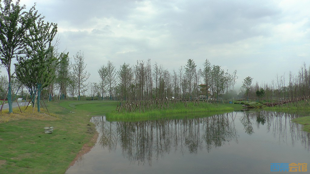 conew_s1620104.jpg
