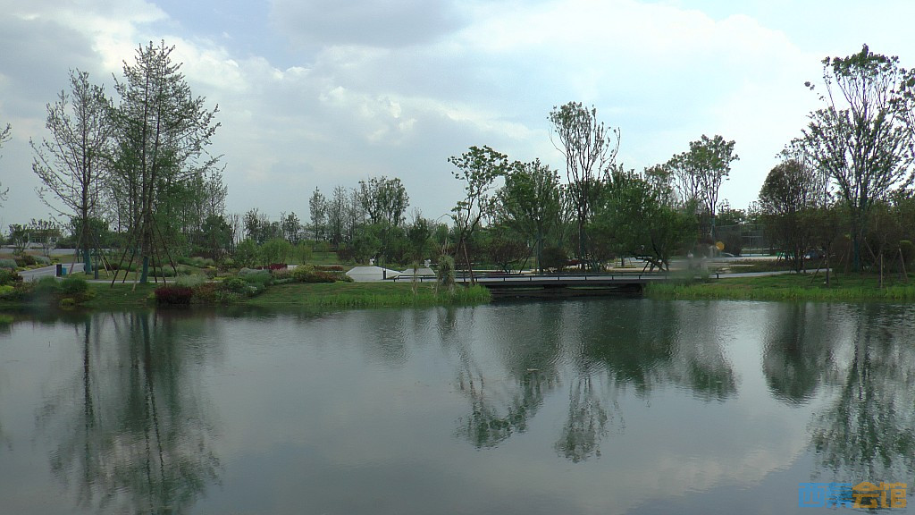conew_s1620101.jpg