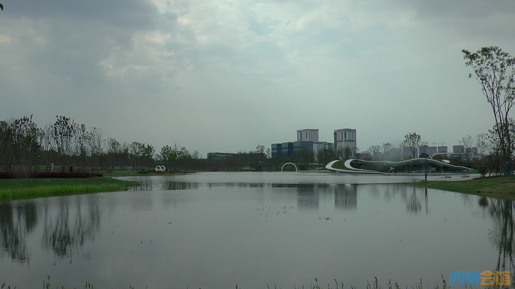 conew_s1620147.jpg