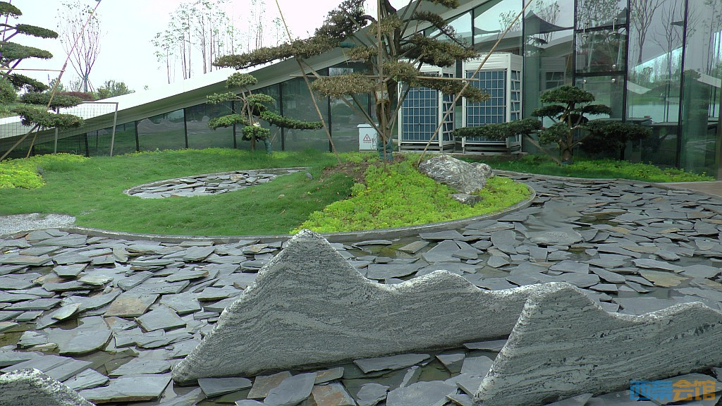 conew_s1620131.jpg