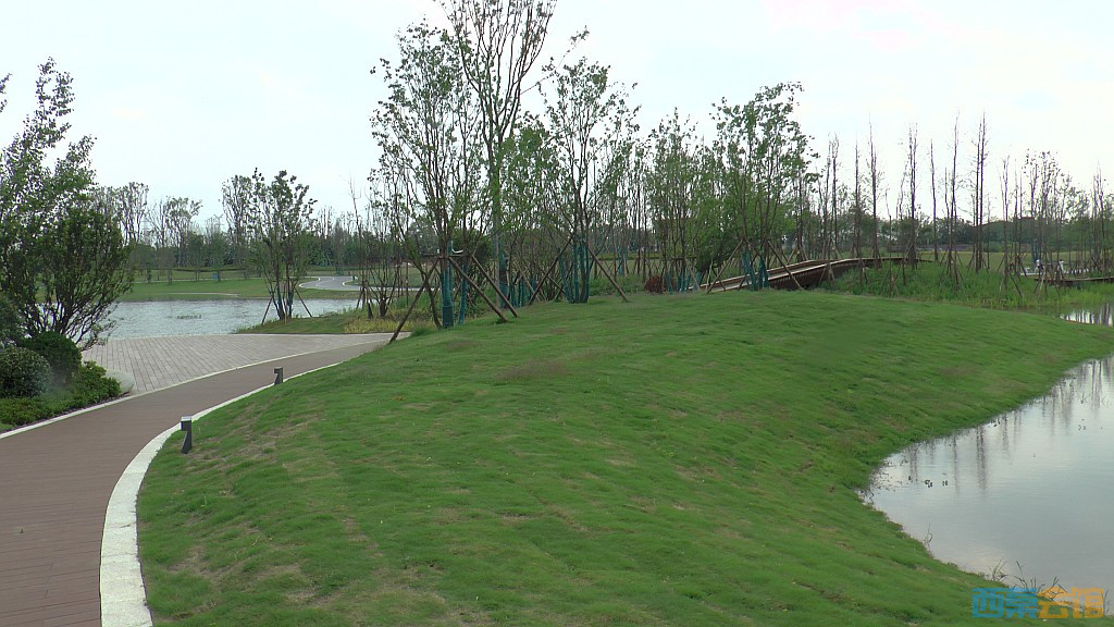 conew_s1620120.jpg