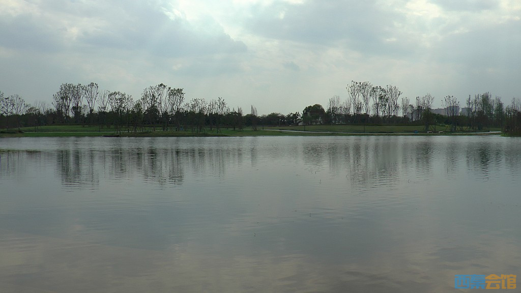 conew_s1620127.jpg