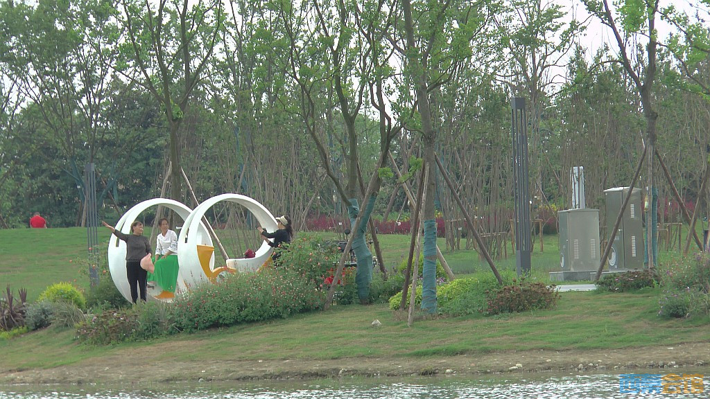 conew_s1620133.jpg