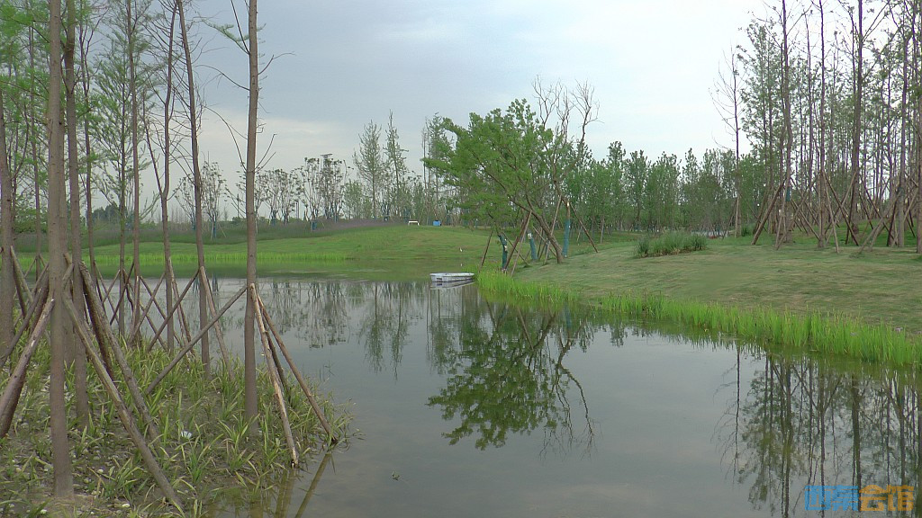 conew_s1620144.jpg