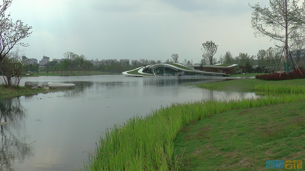 conew_s1620143.jpg