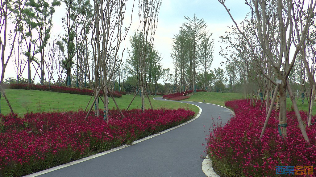 conew_s1620149.jpg