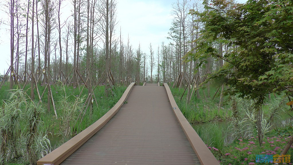 conew_s1620159.jpg