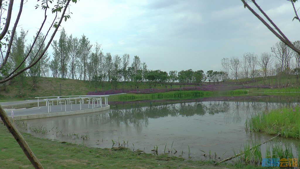 conew_s1620170.jpg