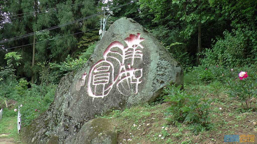54.jpg