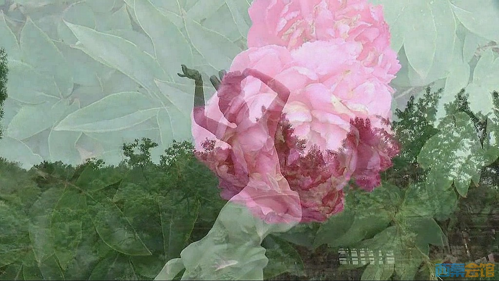 conew_qq��ͼ20230514163553.jpg
