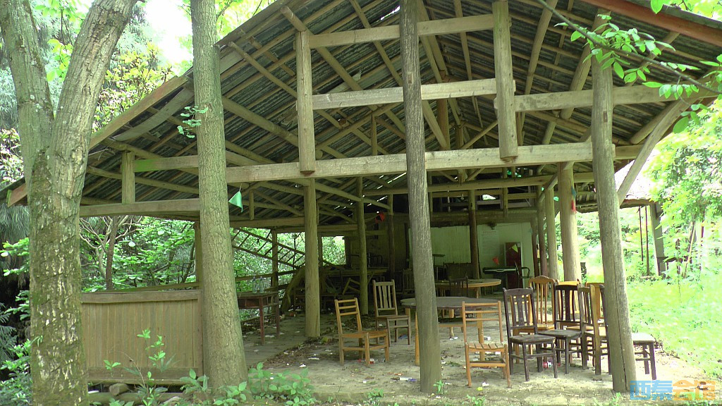 conew_s1630091.jpg