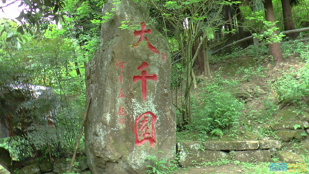 conew_s1630092.jpg