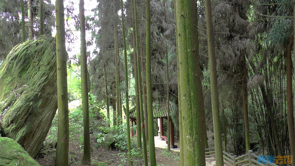 conew_s1630094.jpg