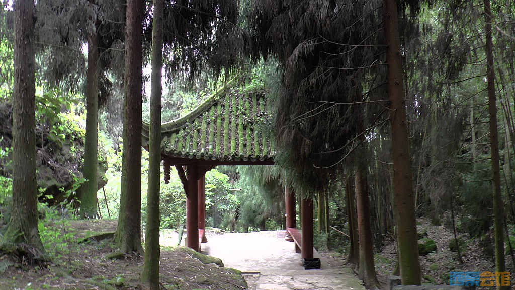 conew_s1630095.jpg