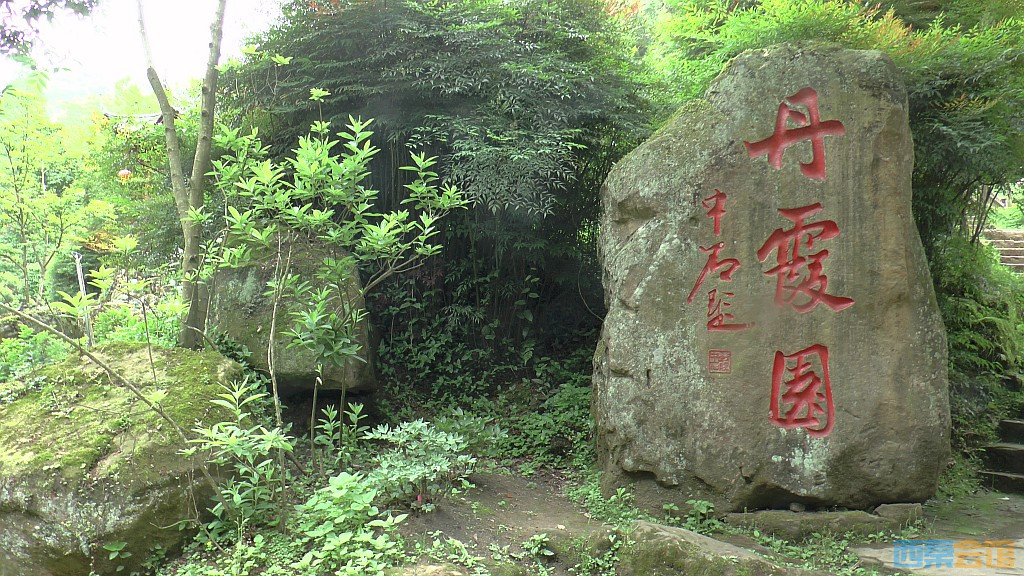 conew_s1630113.jpg