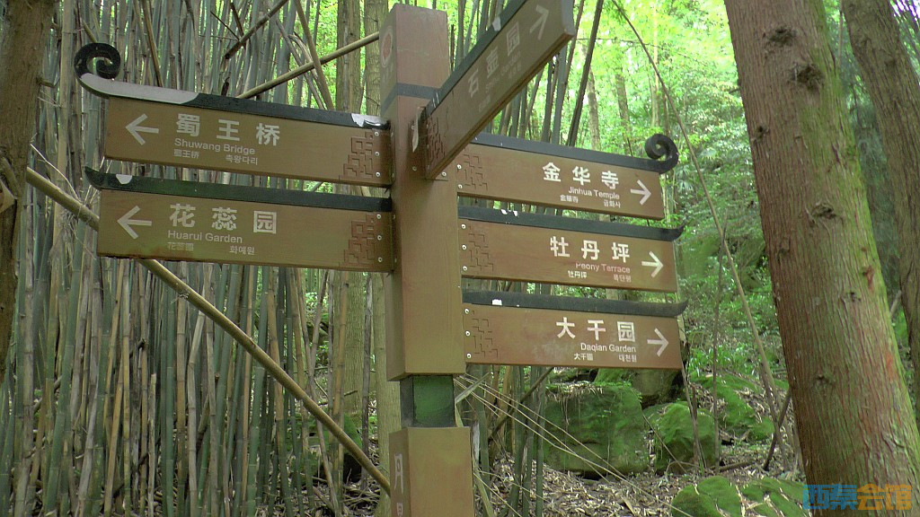 conew_s1630101.jpg