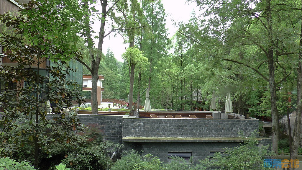 conew_s1630114.jpg