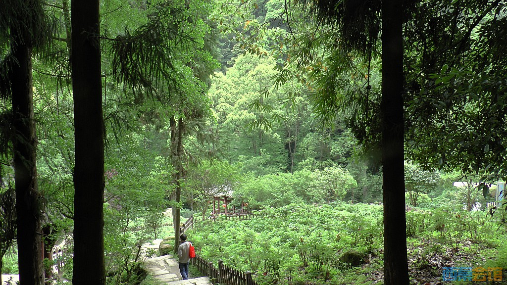 conew_s1630109.jpg