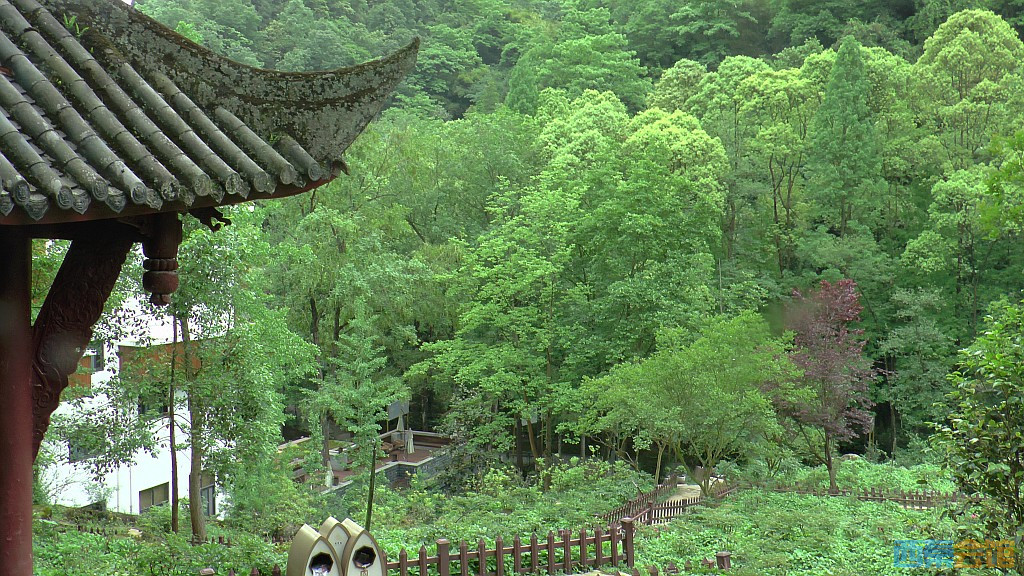 conew_s1630110.jpg