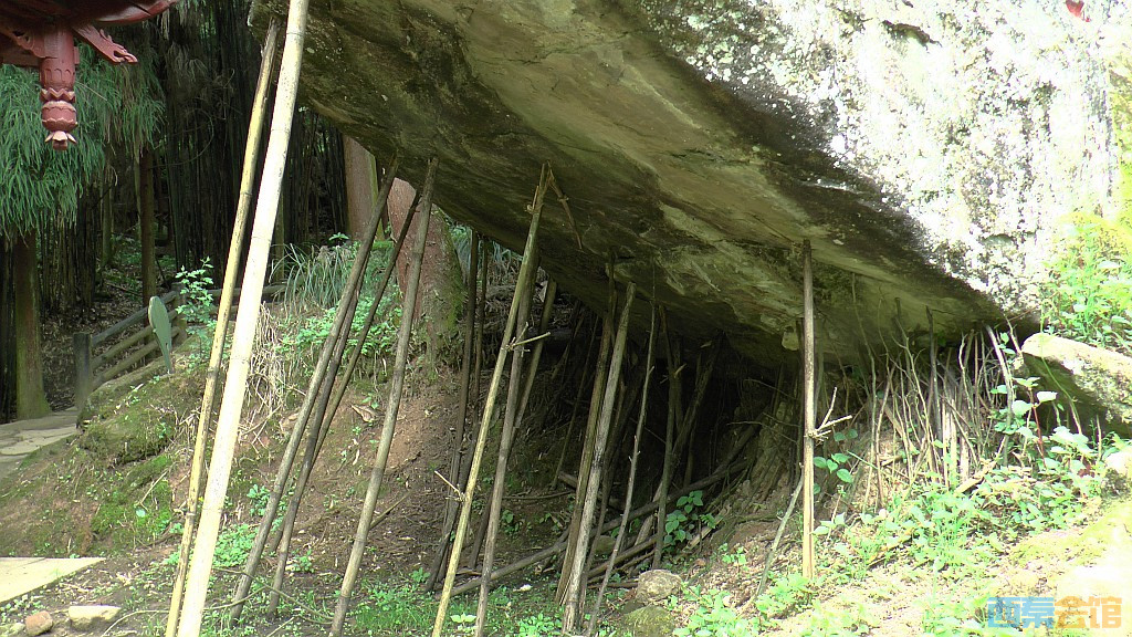 conew_s1630100.jpg
