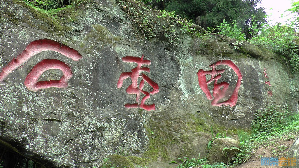 conew_s1630099.jpg