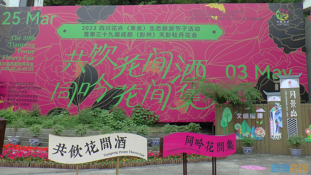 conew_s1630122.jpg