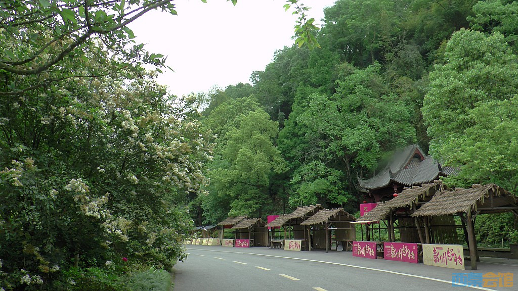 conew_s1630118.jpg