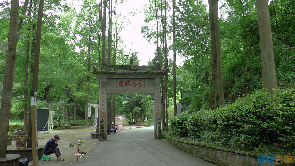 conew_s1630116.jpg