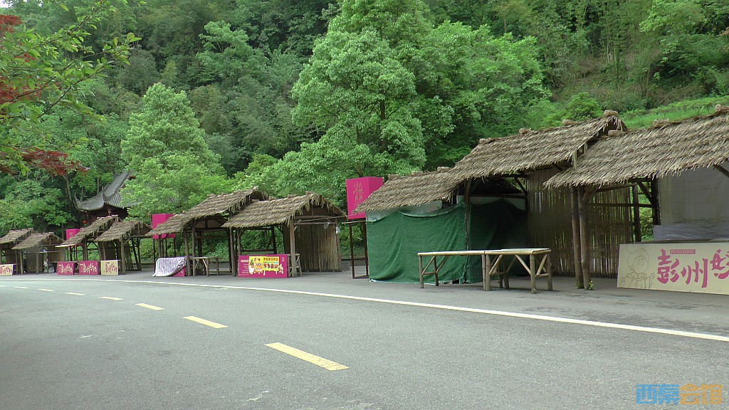 conew_s1630117.jpg