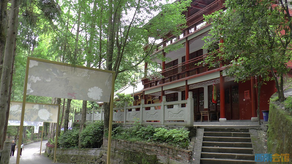 conew_s1630115.jpg
