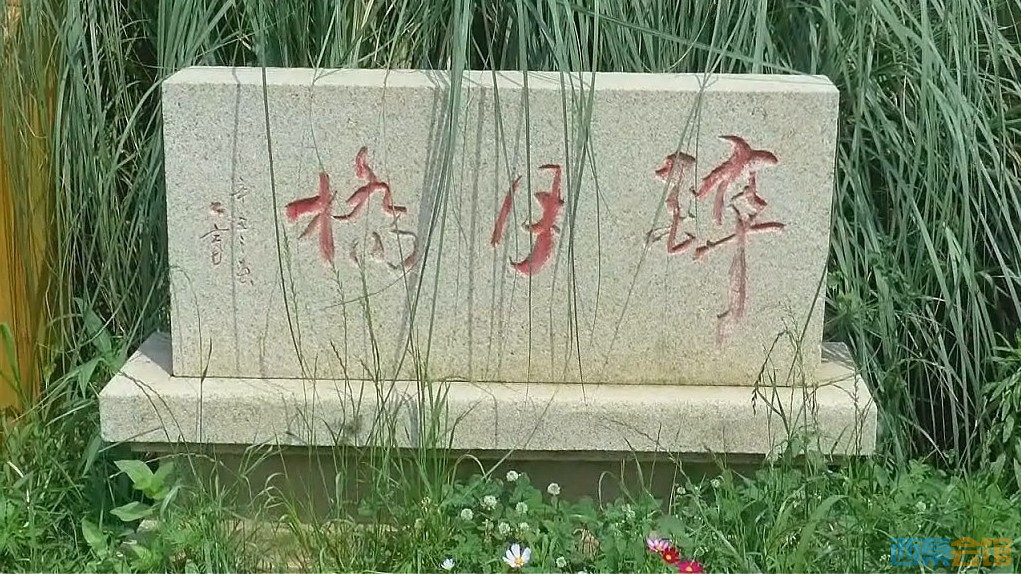 conew_qq��ͼ20230525233857_conew1.jpg