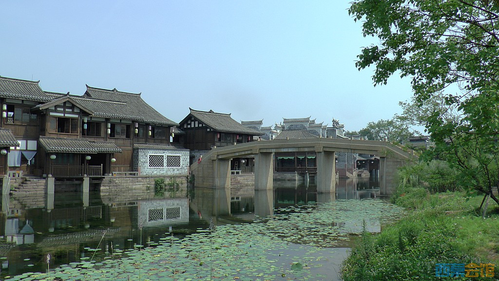 conew_s1650089.jpg